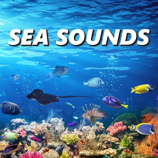 Sea Sounds