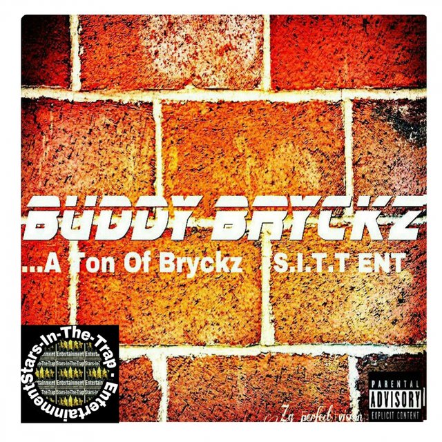 ...A Ton Of Bryckz