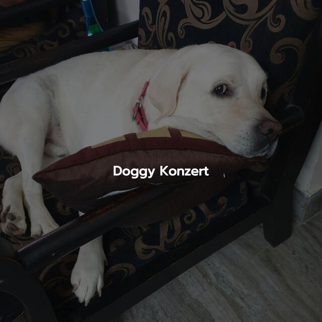 Doggy Konzert