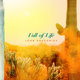 Cover art for album Full of Life by John Gregorius