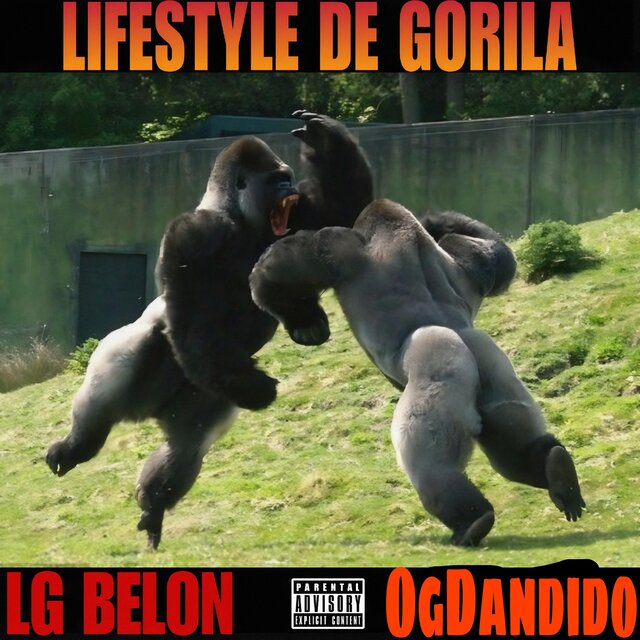 Lifestyle De Gorila