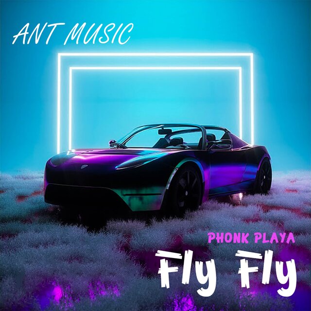 Fly Fly