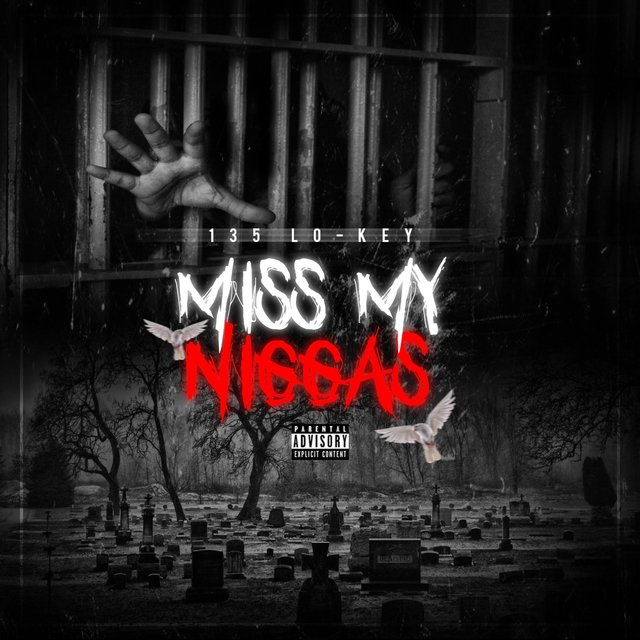 Miss My Niggas