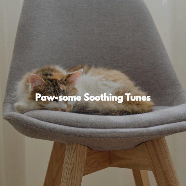 Paw-some Soothing Tunes