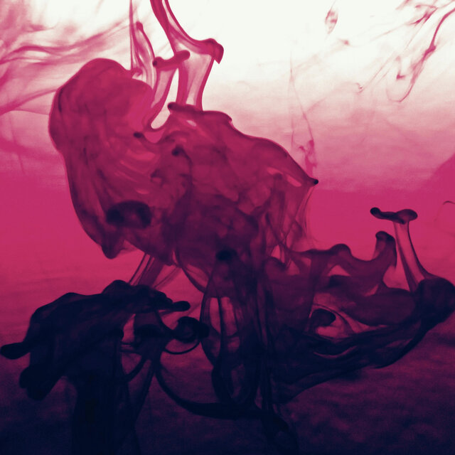 Tranquil Visions