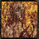 Cover art for album Universal Death Church by Lord Mantis