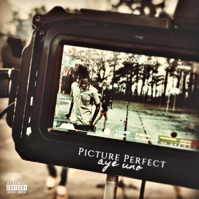 Picture Perfect