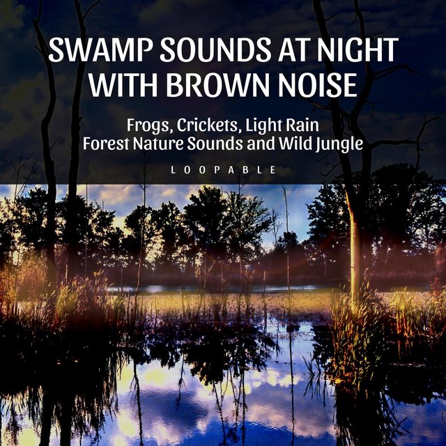 Swamp Sounds at Night with Brown Noise - Frogs, Crickets, Light Rain, Forest Nature Sounds and Wild Jungle, Loopable