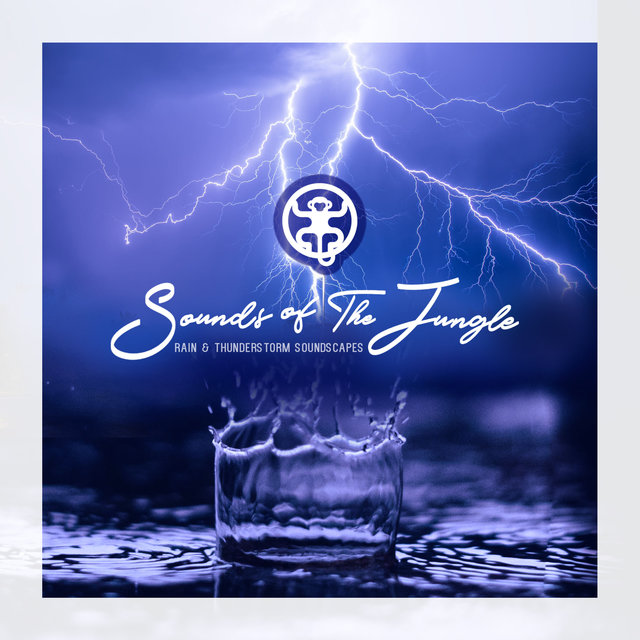 Rain & Thunderstorm Soundscapes