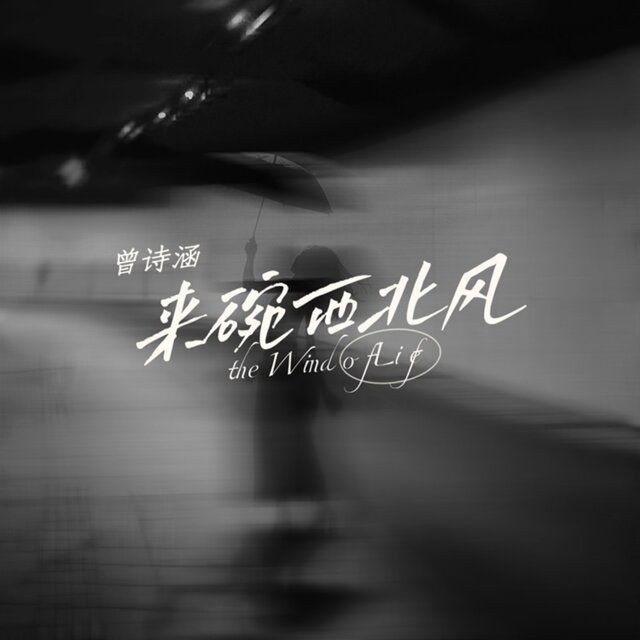 来碗西北风 (Dj默涵版)