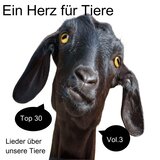 Wenn die Wildschweine fliegen