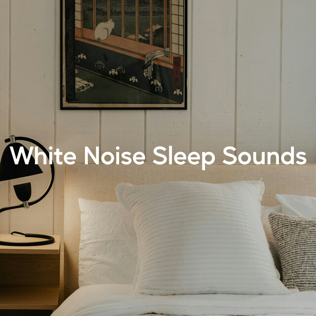 White Noise Sleep Sounds