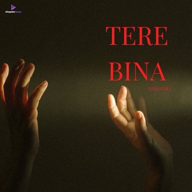 Tere bina