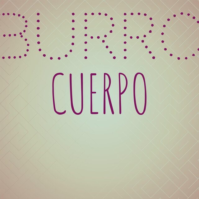 Burro Cuerpo