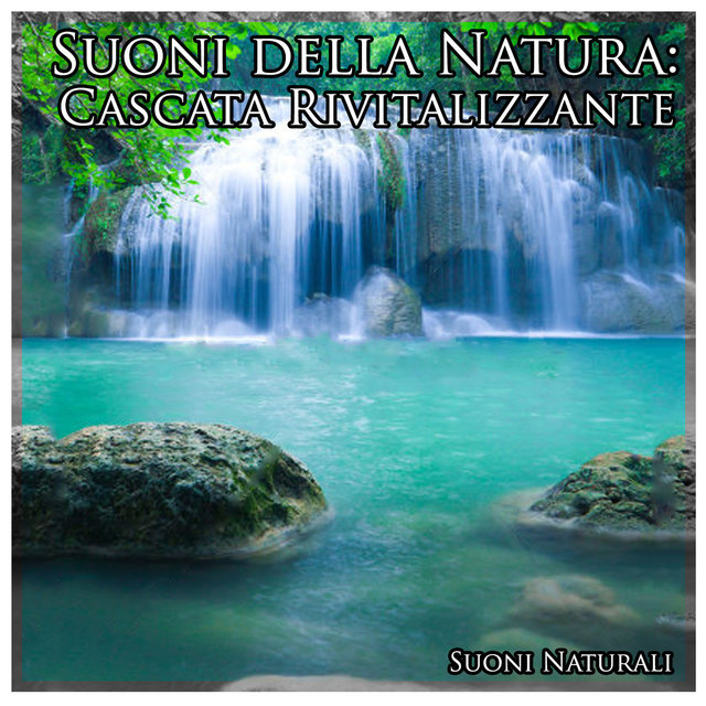 Suoni della Natura: Cascata Rivitalizzante
