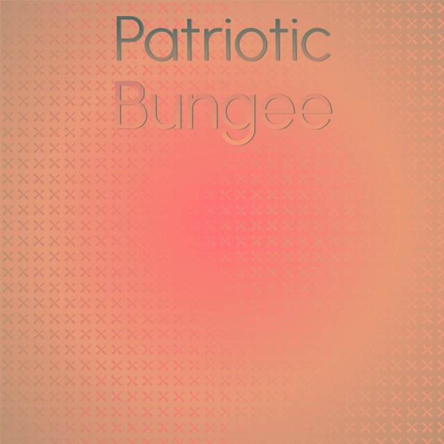 Patriotic Bungee