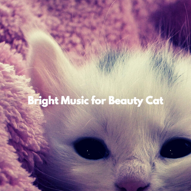 Bright Music for Beauty Cat