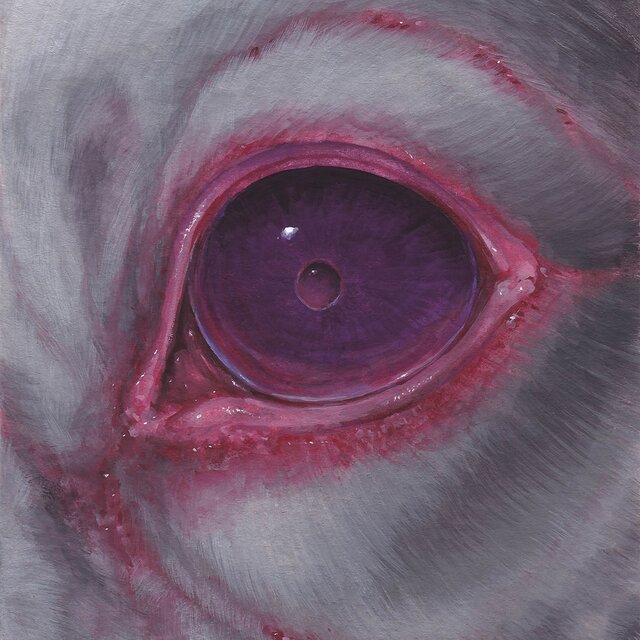 OMNIA OBSCURA