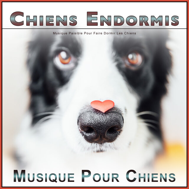 Chiens Endormis : Musique Paisible Pour Faire Dormir Les Chiens