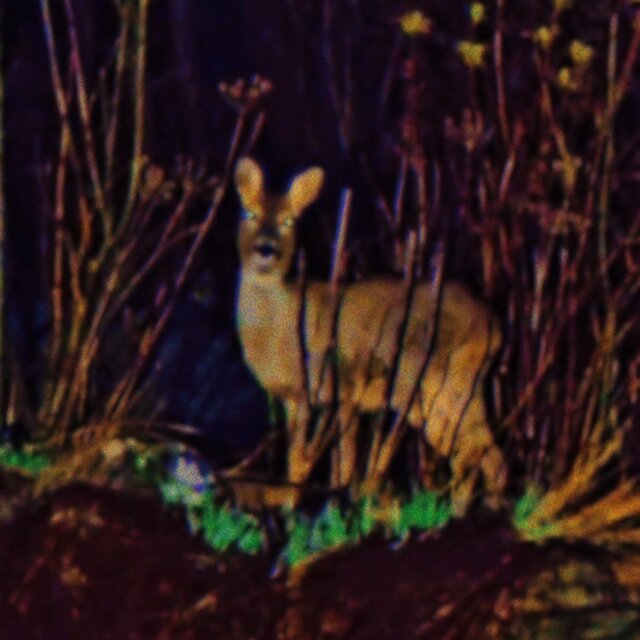 Le tenebre