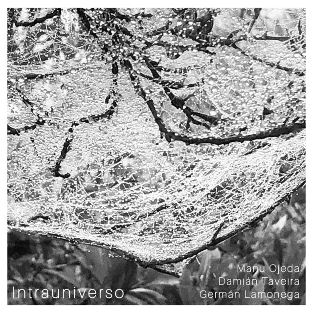 Intrauniverso