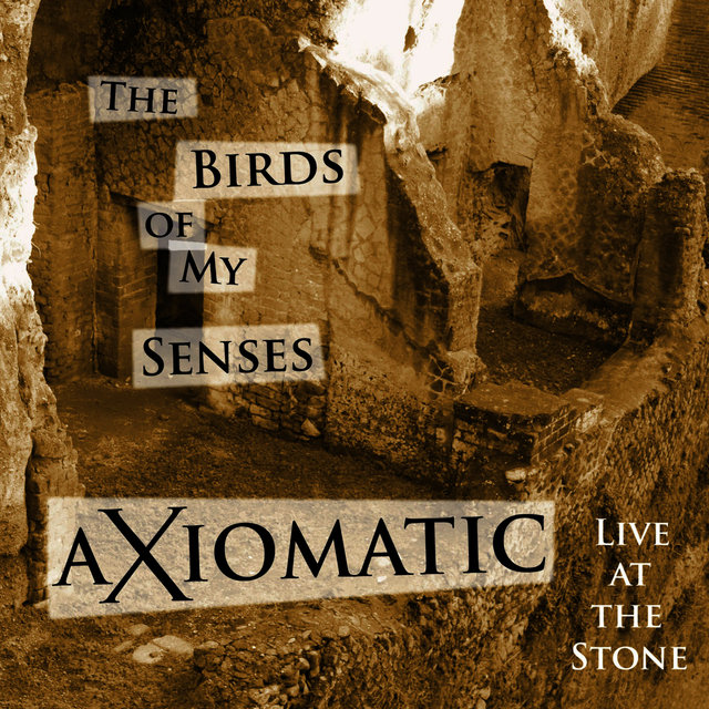 Axiomatic Live at the Stone - the Birds of My Senses