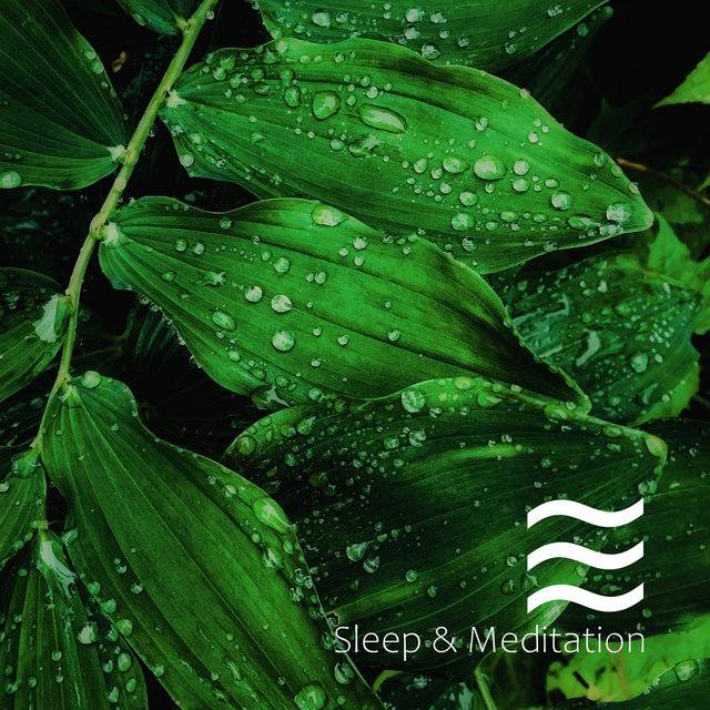 Smooth Slumber Dreams sounds for Kids