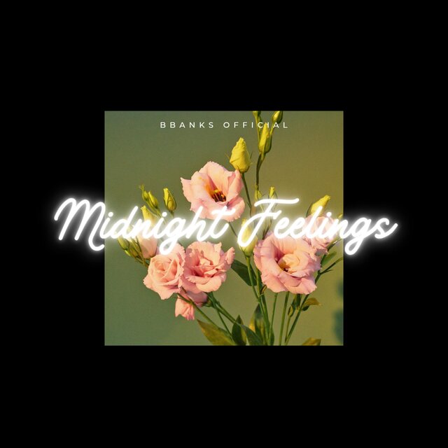 Midnight Feelings
