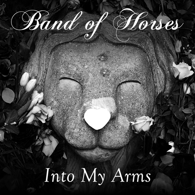 Into My Arms