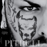 PITBULL