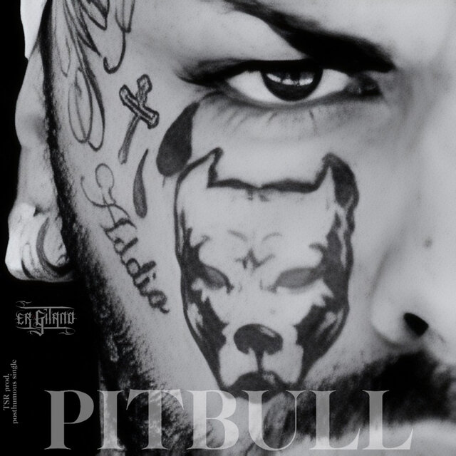 PITBULL