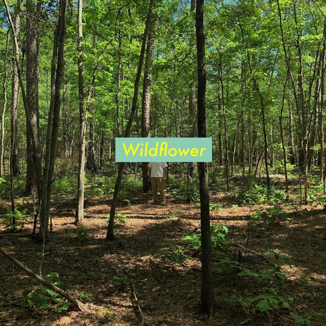 Wildflower