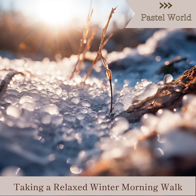 Taking a Relaxed Winter Morning Walk