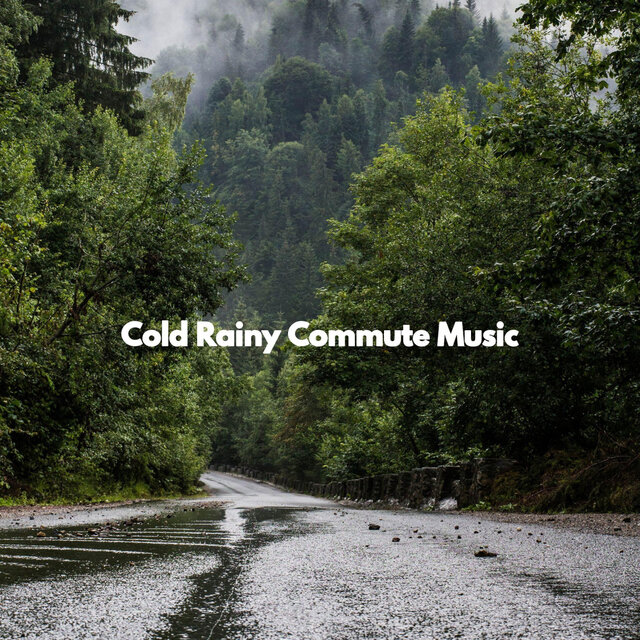 Cold Rainy Commute Music