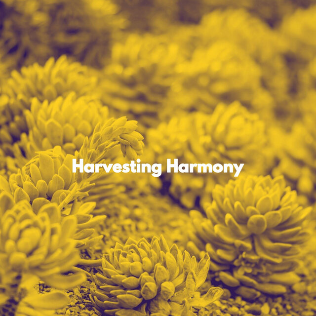 Harvesting Harmony