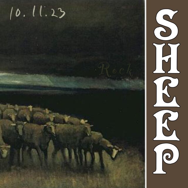 Sheep 10.11.23