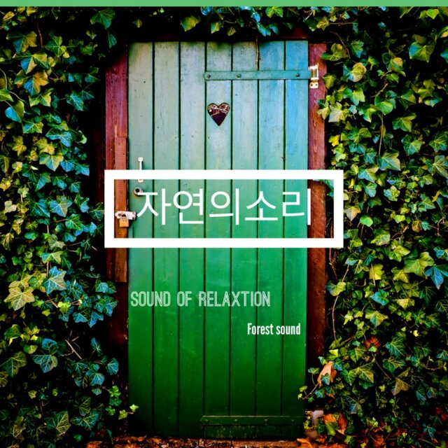 The Sound of Nature (Sleeping, resting, concentrated healing sound)