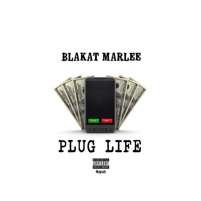Plug Life