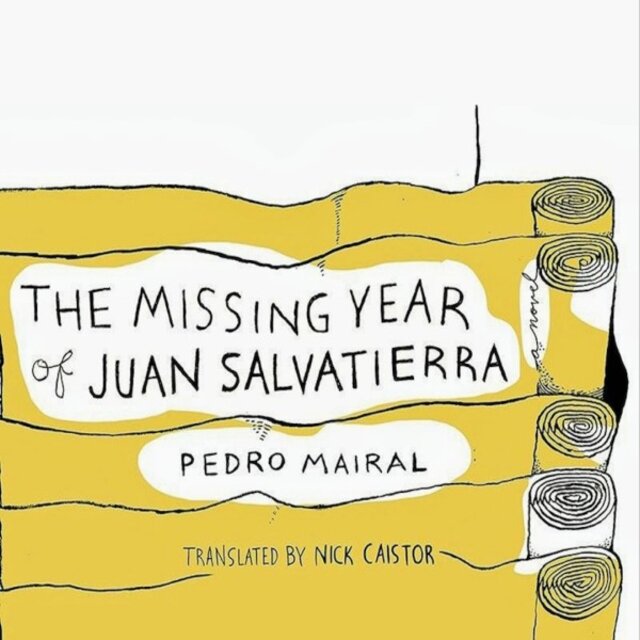 The Missing Year of Juan Salvatierra (A Novel)