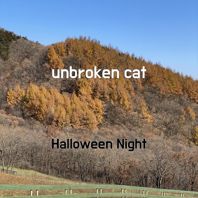 unbroken cat