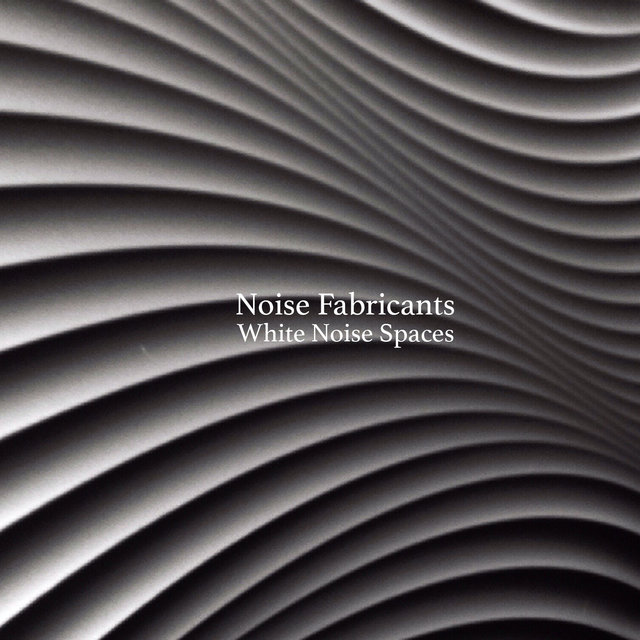 White Noise Spaces