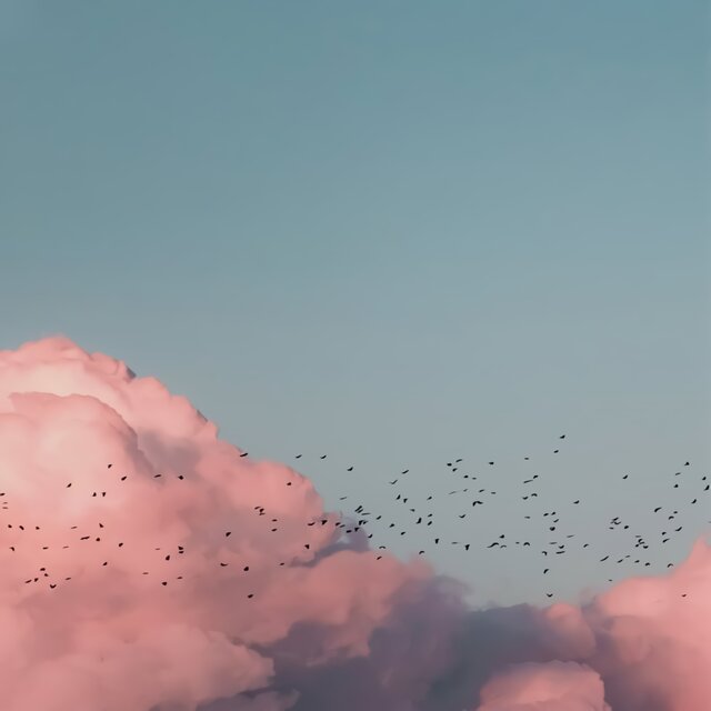 Relax