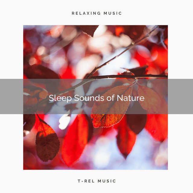 1 Sleep Sounds of Nature