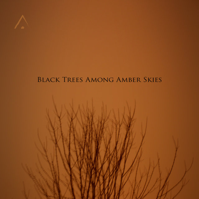 Black Trees Among Amber Skies