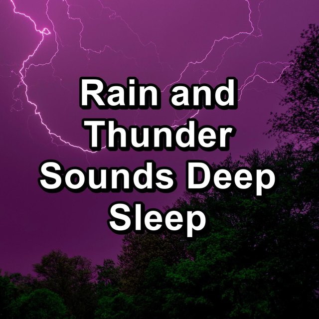 Rain and Thunder Sounds Deep Sleep
