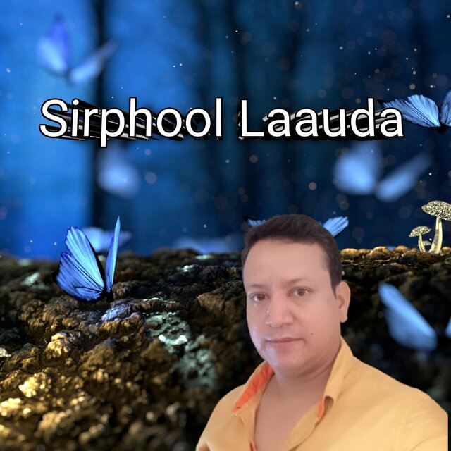 Sirphool laauda