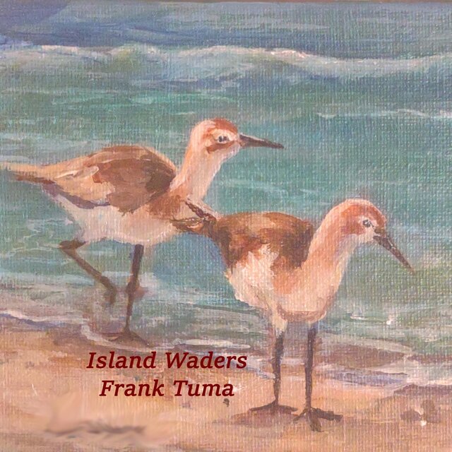 Island Waders