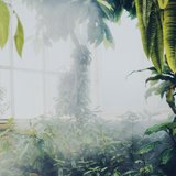 Green House