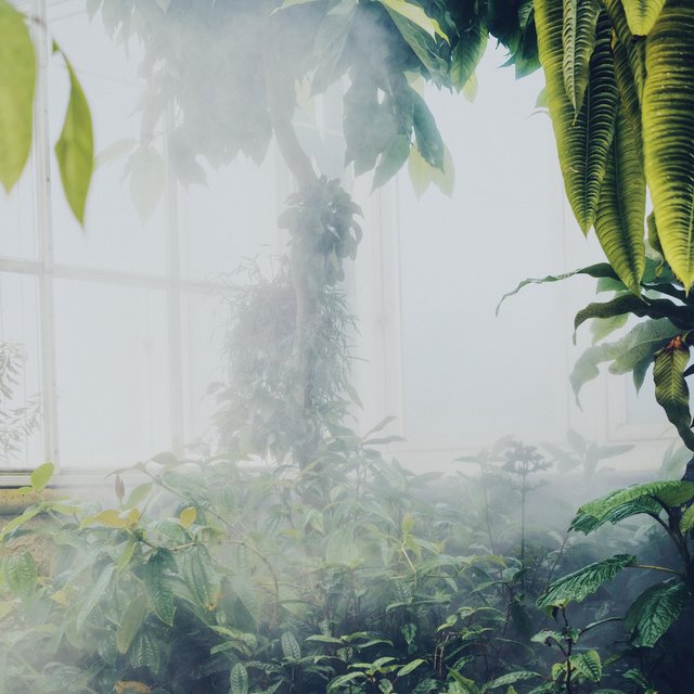 Green House