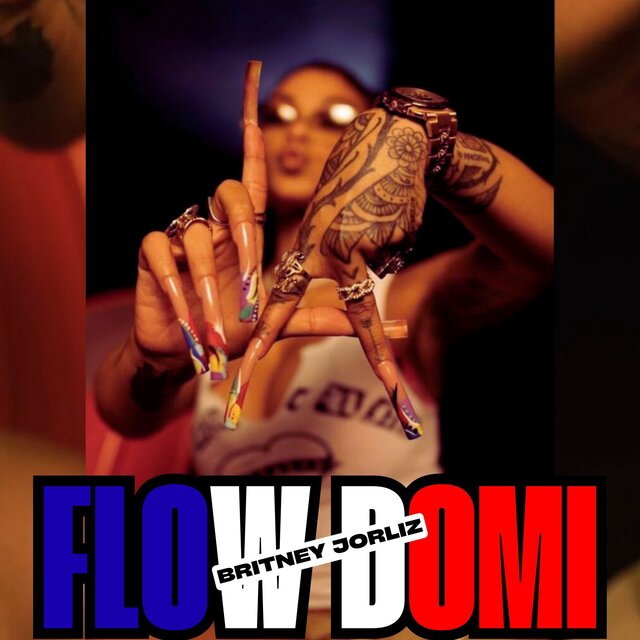 Flow Domi